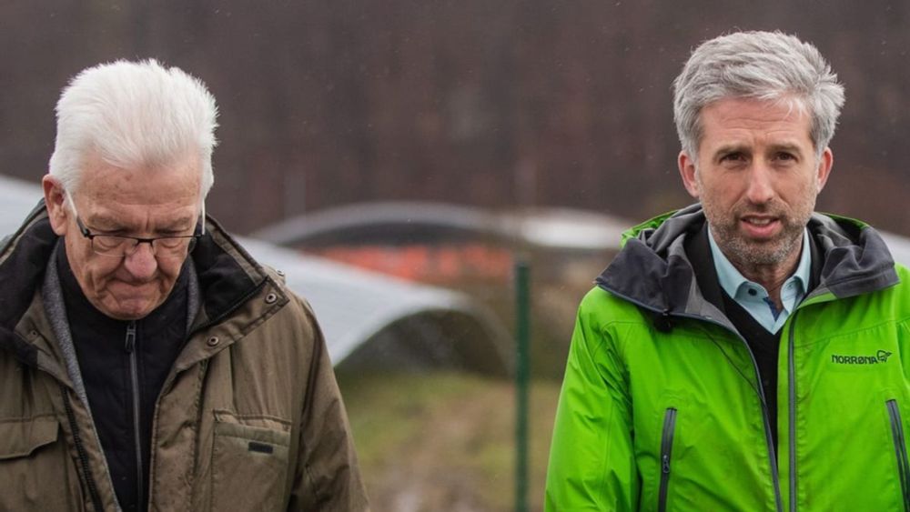 Nach Rückzug der Grünen-Jugend: Boris Palmer will über Rückkehr zu Grünen reden