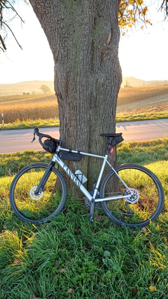 Fahrrad steht an einem Baum gelehnt. Im Hintergrund eine Straße, Felder und Sonnenaufgang. 
