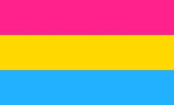 The pansexual flag