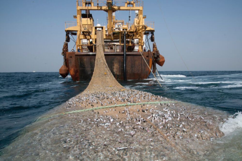 Global fisheries must change to avoid ocean collapse, study says