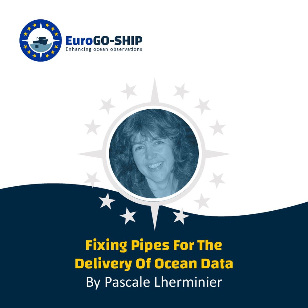 A woman scientists smiling in support of her blog: Fixing Pipes for the Delivery of Ocean Data by Pascale Lherminier