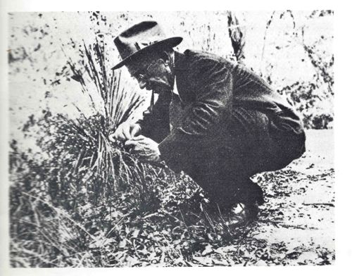 William Morton Wheeler leaning by a plant in a black and white photo.