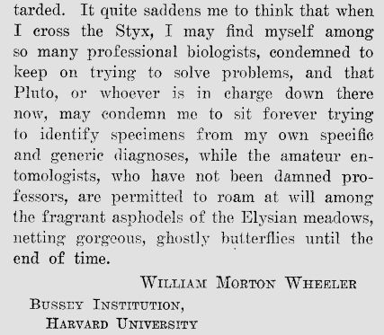 It quite saddens me to think that when I cross the Styx, I may find myself among so many professional biologists, condemned to keep on trying to solve problems, and that Pluto, or whoever is in charge down there now, may condemn me to sit forever trying to identify specimens from my own specific and generic diagnoses, while the amateur entomologists, who have not been damned professors, are permitted to roam at will among the fragrant asphodels of the Elysian meadows, netting gorgeous, ghostly butterflies until the end of time.

— William Morton Wheeler, The Dry Rot of Academia (1970