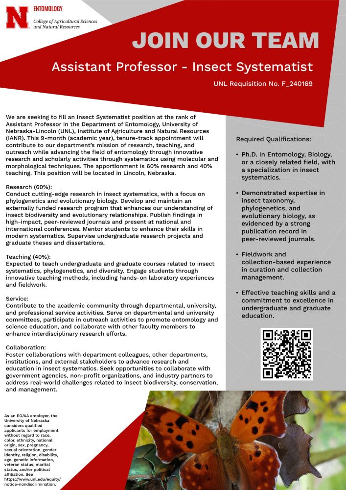  A professional job announcement flyer from the University of Nebraska-Lincoln advertising the position of Assistant Professor in Insect Systematics. The flyer is divided into sections detailing the job description, required qualifications, and responsibilities, including research, teaching, service, and collaboration. The layout uses red and grey colors, includes a university logo, and prominently features a vibrant photo of an orange and black butterfly resting on a plant. A QR code is present for easy access to application details.