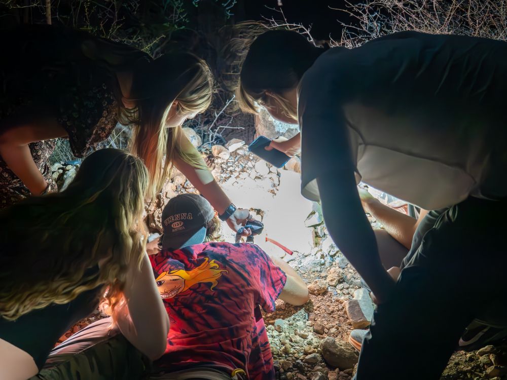 A group of people gathers closely around the bright beam of a headlamp focused on the rocky desert ground, eagerly observing a male Aphonopelma chalcodes tarantula burrow. Some individuals document the discovery with their smartphones, capturing the group's excitement.