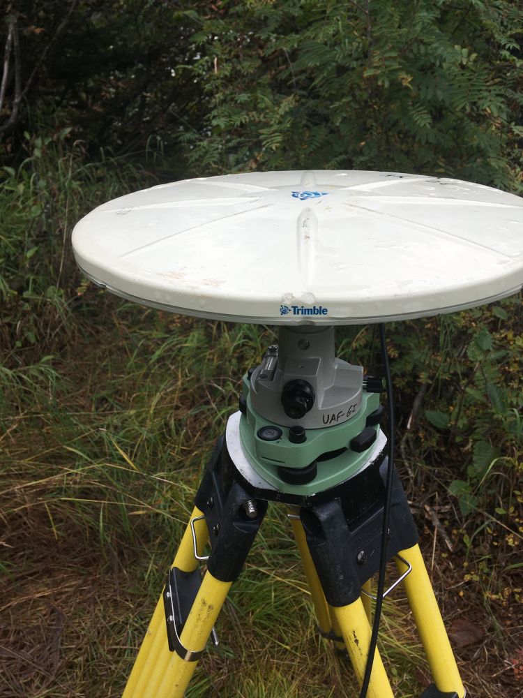 A photo of a campaign GPS/GNSS site.  A yellow and black tripod takes up the lower part of the picutre.  A green tribrach and gray optical plummet (for leveling) are attached to the top of the tripod.  A white circular antenna is attached to the optical plummet.  The edge of the antenna facing the camera says "Trimble" in blue letters.  Just above the words are two bite marks made by a very curious and naughty mountain goat years earlier.