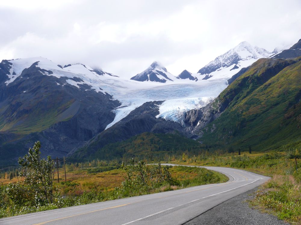 Worthington glacier near Thompson Pass, Alaska splits into two branches as it goes to lower elevations.  It has lost a lot of ice in recent decades.  The slopes around the glacier are green and gold.  A road curves through trees and tundra in the foreground.