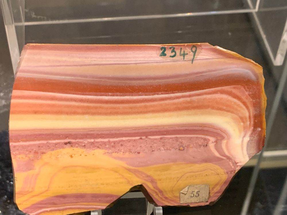 A polished chunk of jasper (the rock). It has multiple layers of red, orange, white, and pink that layer up in a way that almost exactly matches the lesbian pride flag. The number “2349” is written on it near the top, and an old sticker reads “55”. At the Sedgwick Museum, Cambridge