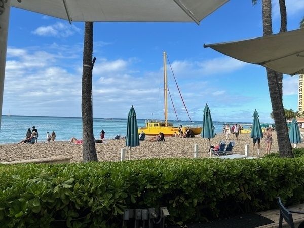 A yellow catamaran sailboat parked directly on the beach.