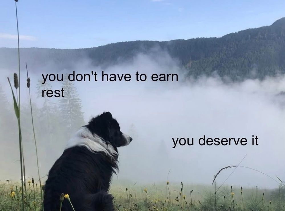 text: you don’t have to earn rest, you deserve it
image: dog in a misty field 