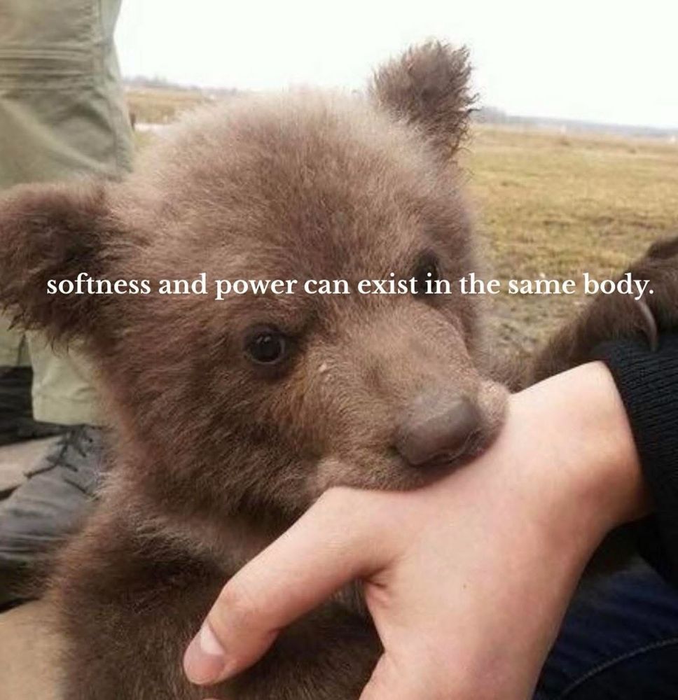 softness and power can exist in the same body
image: bear cub biting a hand 