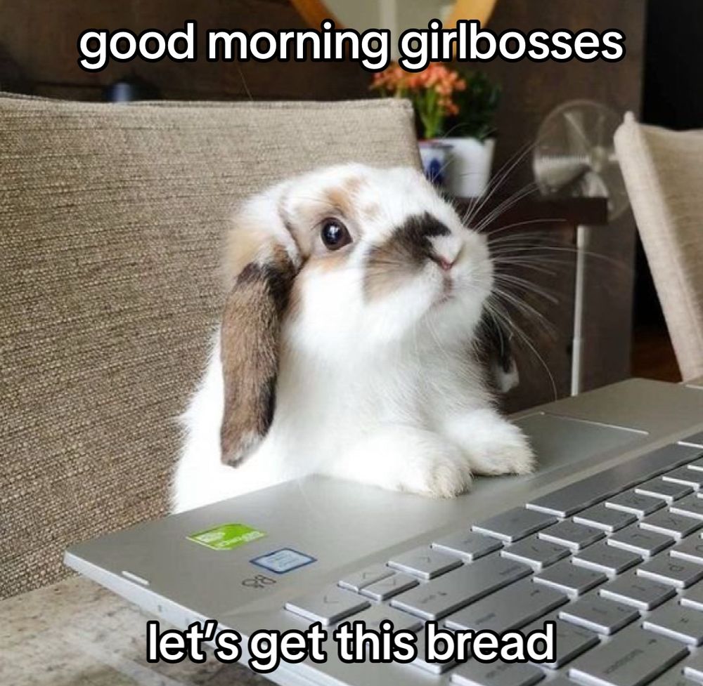 a bunny at a laptop
text: good morning girlbosses let’s get this bread 
