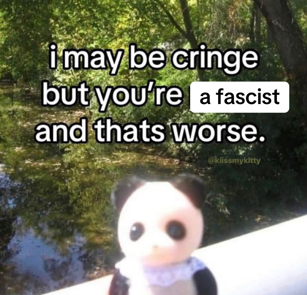 i may be cringe but you’re a fascist and that’s worse 