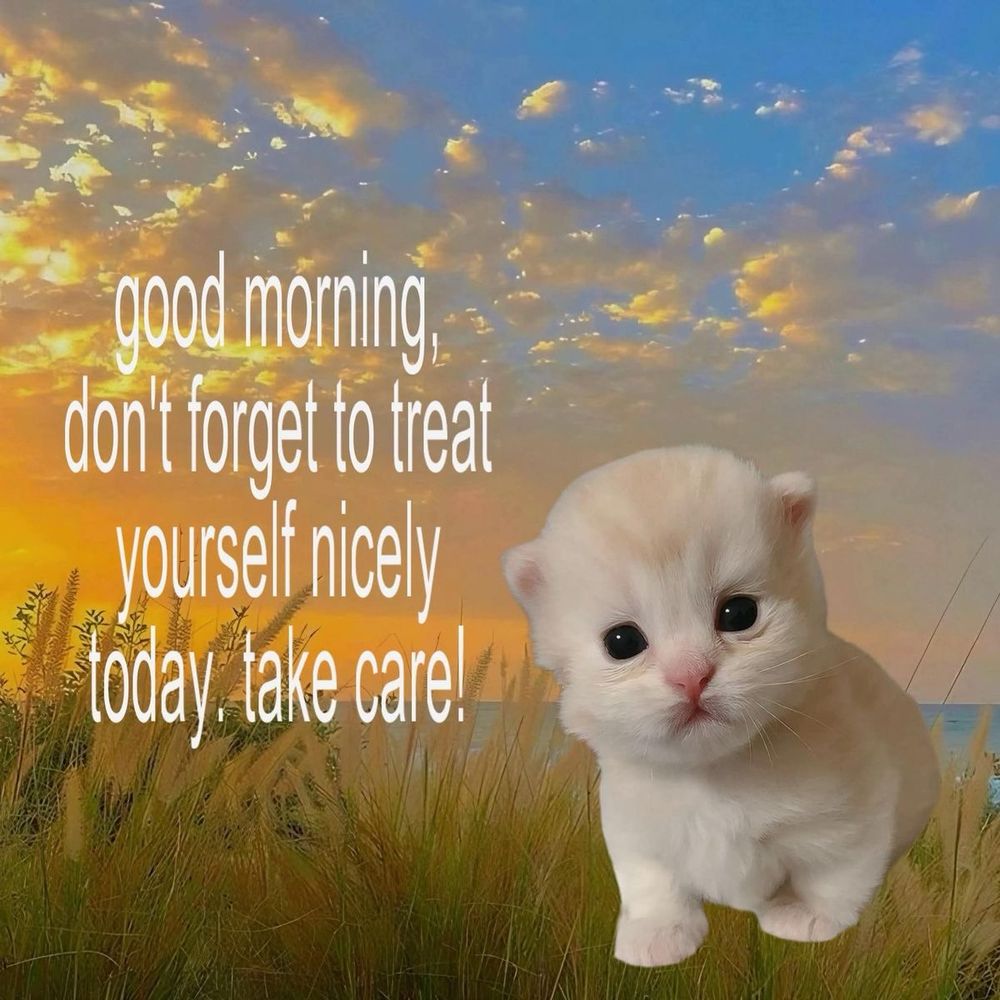 good morning don’t forget to treat yourself nicely today. take care!