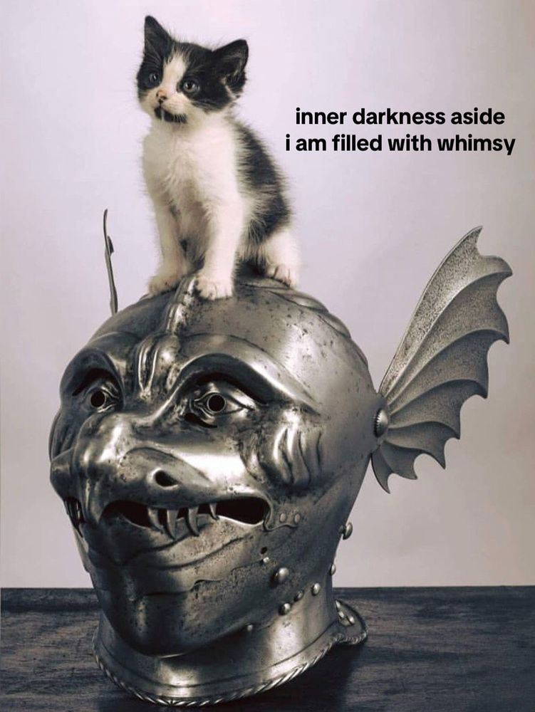 “inner darkness aside i am filled with whimsy”
a kitten perched on a medieval winged helmet