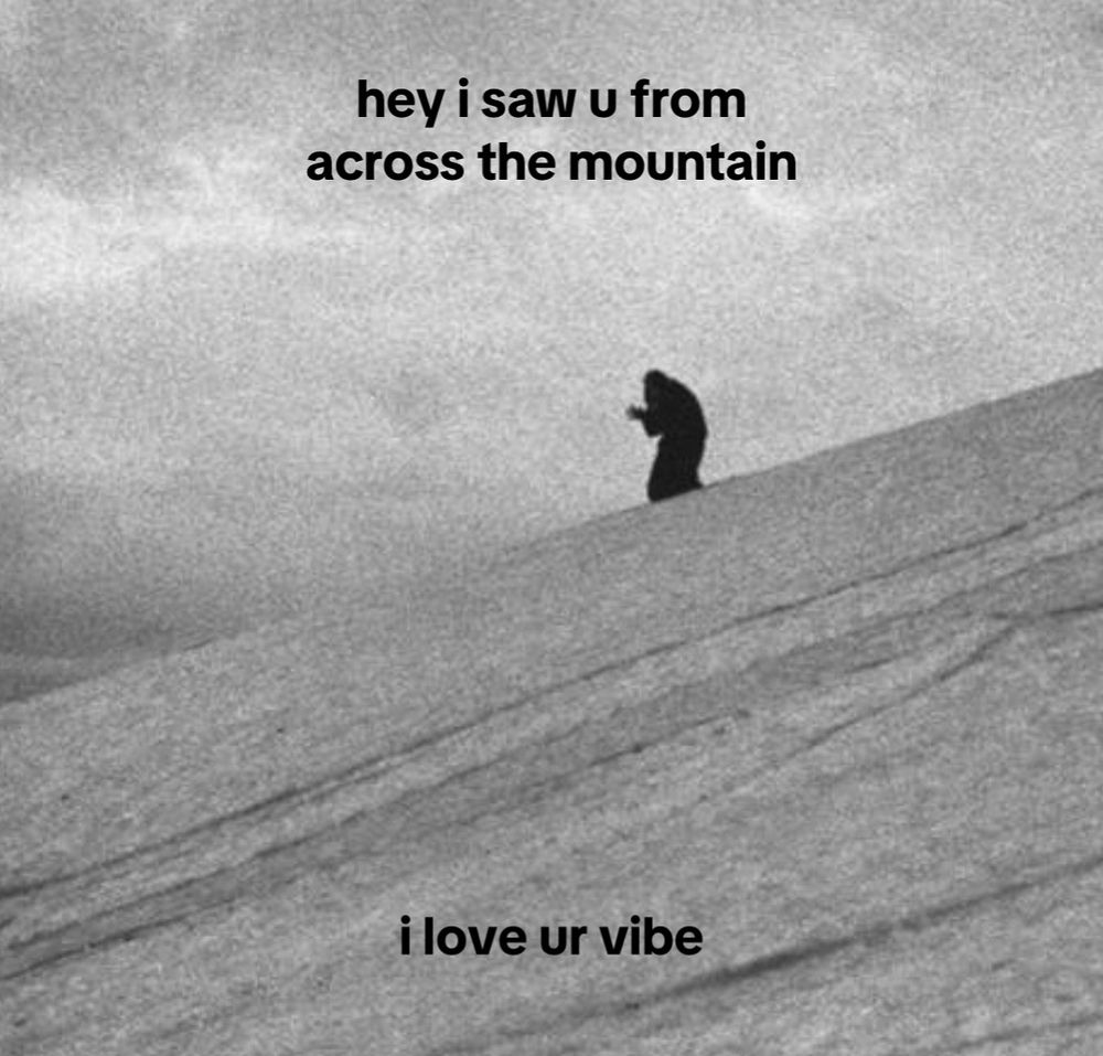 paysage d’hiver’s self-titled album 
“hey i saw u from across the mountain
i love ur vibe”
