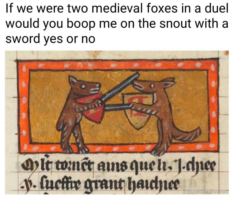 if we were two medieval foxes in a duel would you boop me on the snout with a sword yes or no 