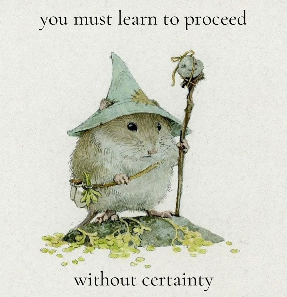 little rodent mage by Lily Seika Jones
“you must learn to proceed without certainty”