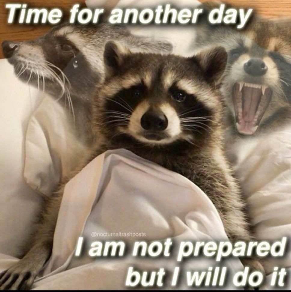 time for another day i am not prepared but i will do it 