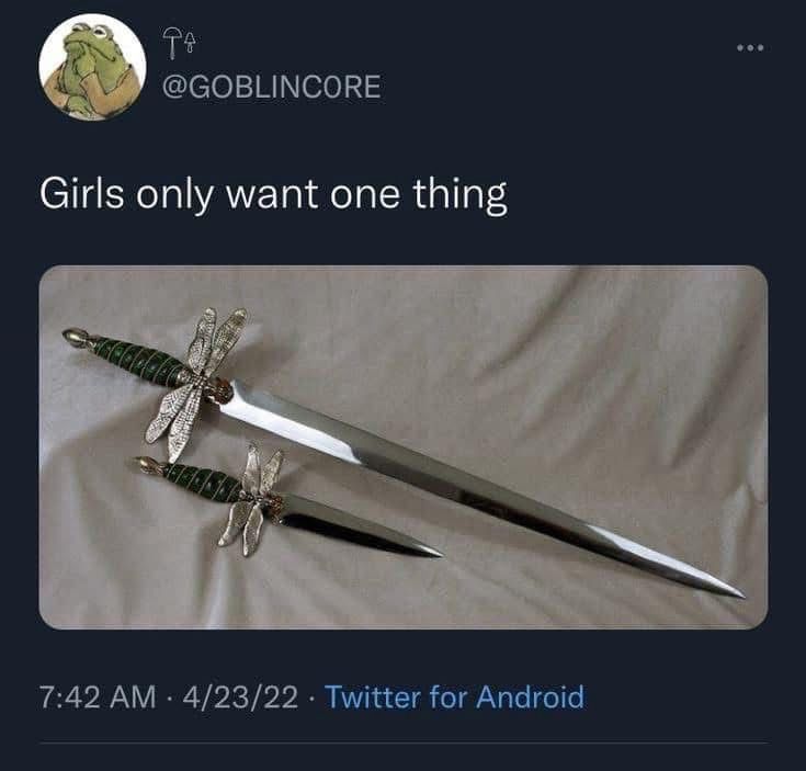 girls only want one thing tweet by user @GOBLINCORE with an image of a dragonfly sword 