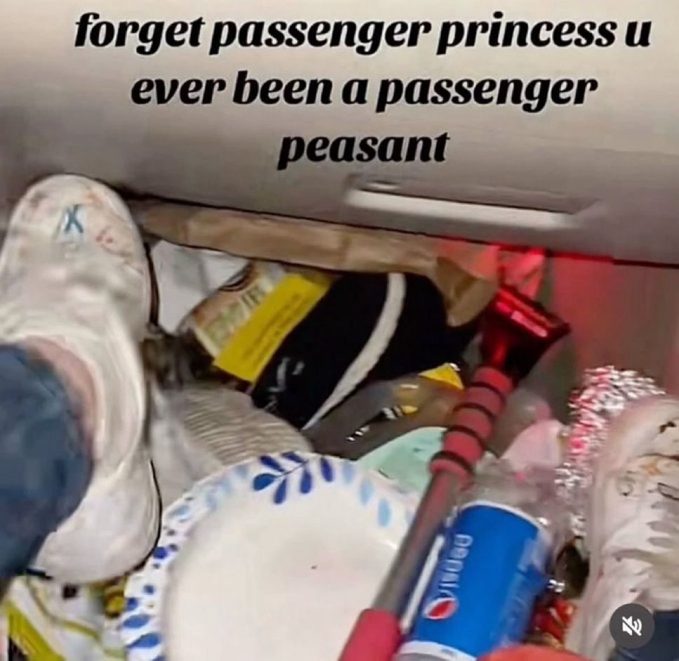 forget passenger princess you ever been a passenger pleasant above your standard messy car floor 