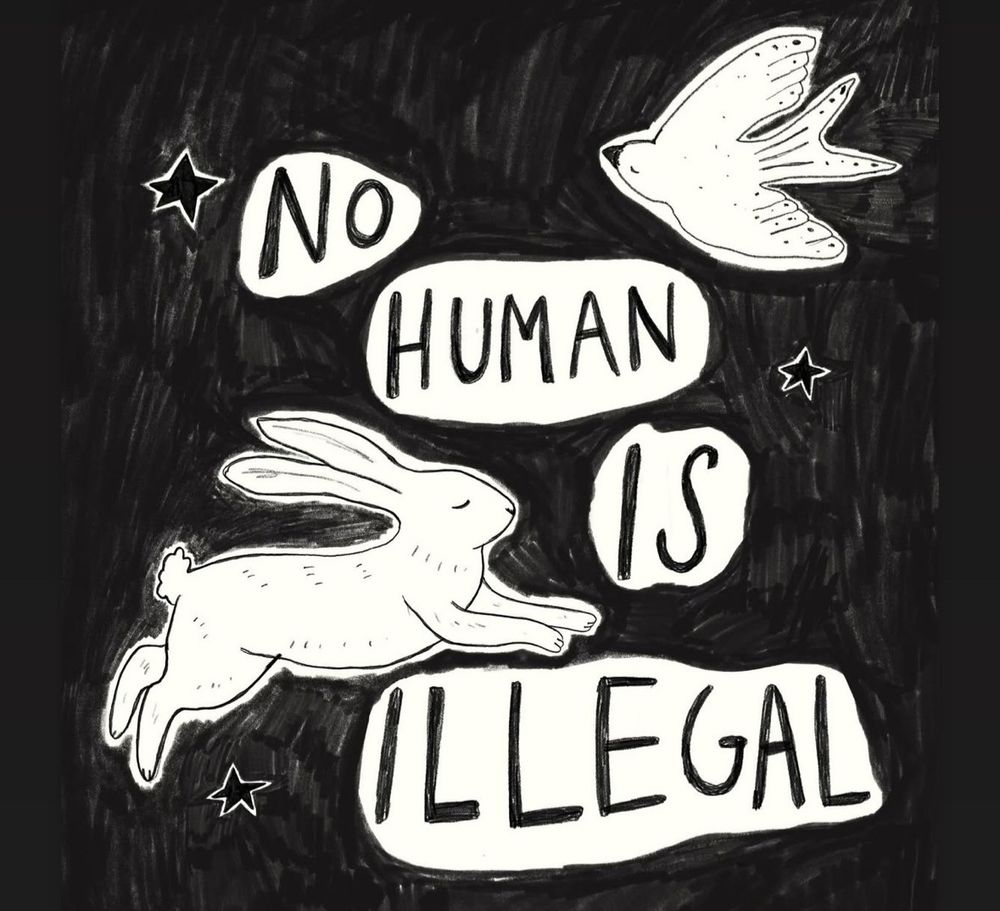 “no human is illegal” accompanied by bunny and bird