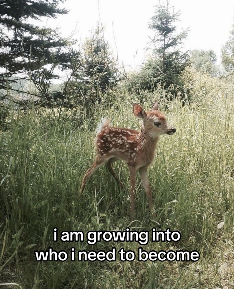 “i am growing into who i need to become”
fawn in meadow 