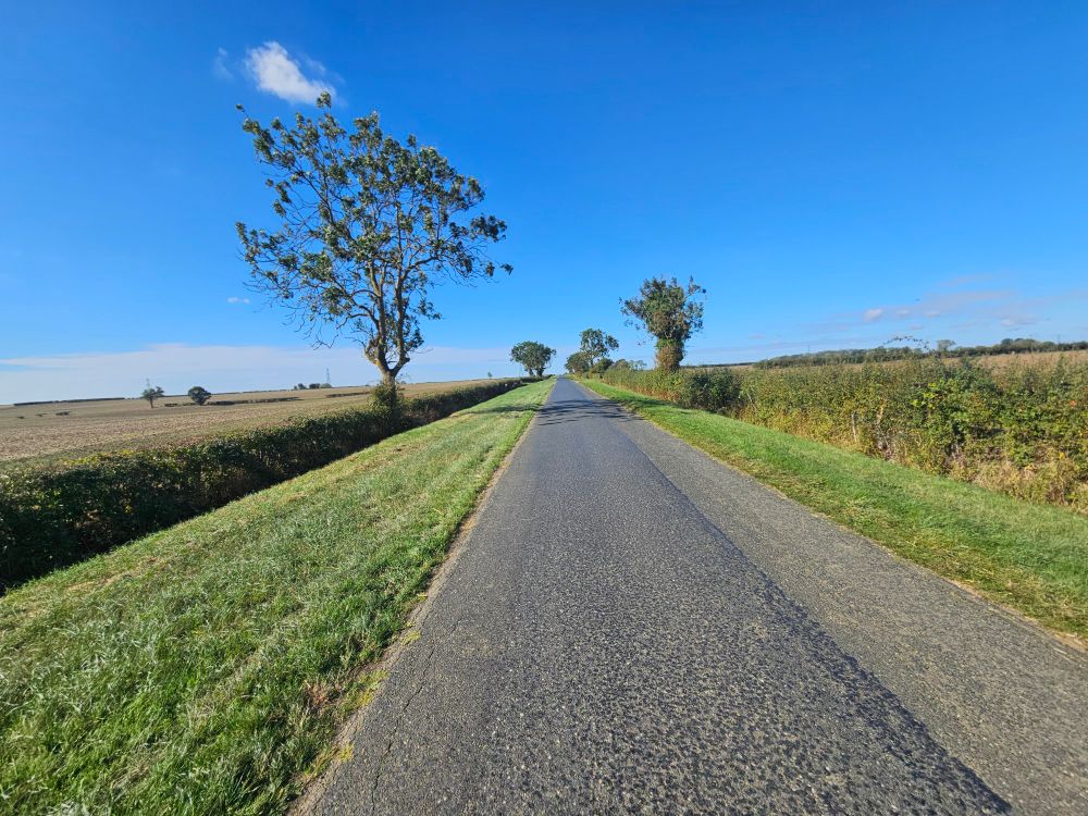 Wide sky over a country road; the road is central there are a few trees, a blue sky and a single cloud