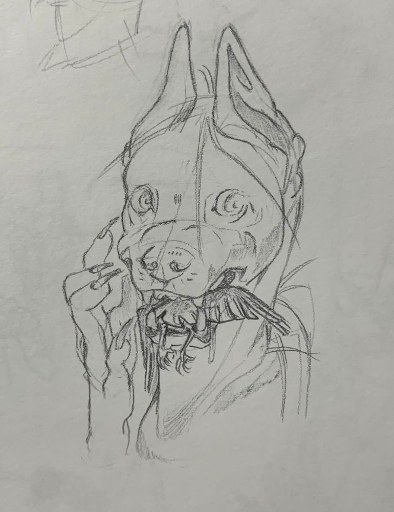 a pencil sketch of an unsettling half-human, half-dog eating a dead bird