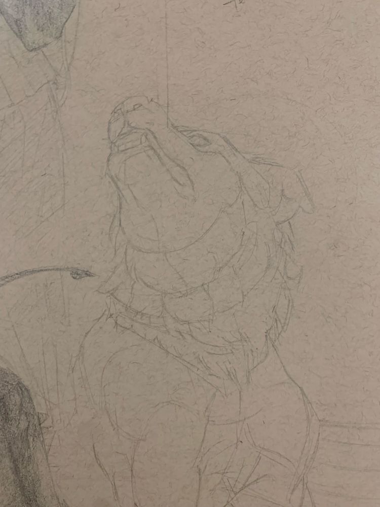 a graphite sketch on toned tan paper of a hefty dog