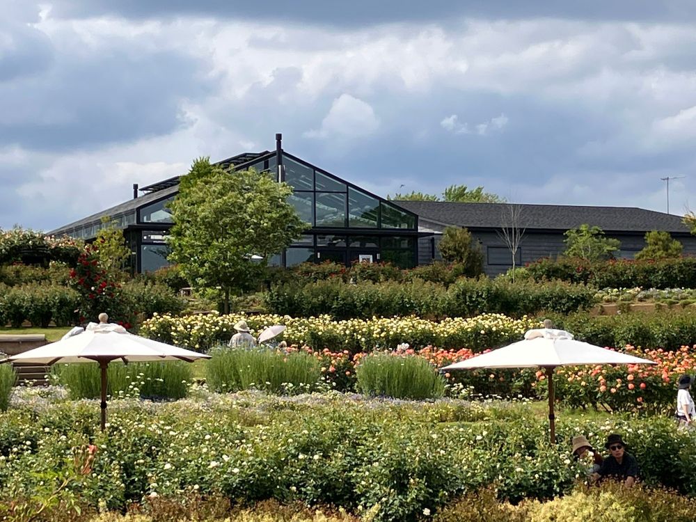 茨城フラワーパークのバラテラスとレストラン「 ローズファーム ハウス」