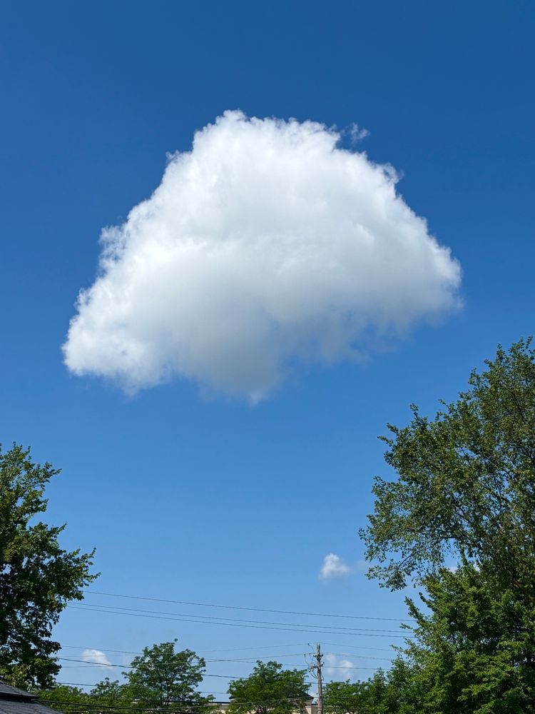 a lone puffy cloud drifts overhead