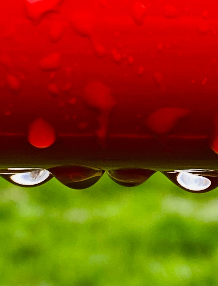 close-up of beads of water on a bright red metal pipe against a vivid swath of green grass