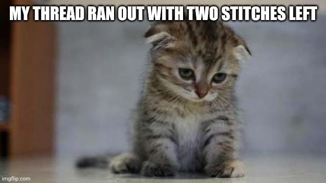 Sad cat with text "my thread ran out with two stitches left"