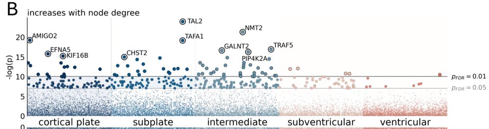 genes that are associated with network connectivity in the prenatal brain include: AMIGO2, CHST2, NMT2 and EFNA5