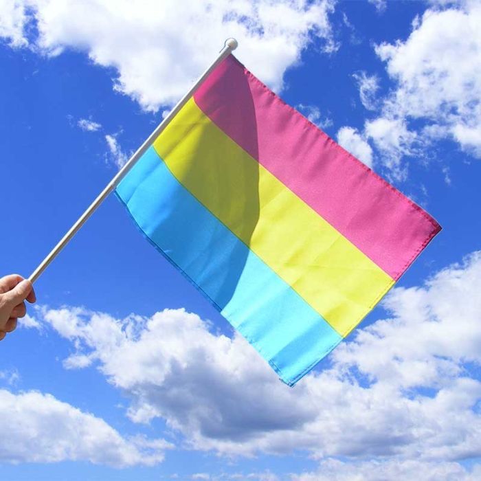 Pansexual pride flag being flown with a bright sunny sky in the background 