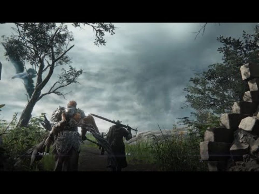 Elden Ring Nightreign: 2 player demonstration (w/ no EAC & mod compatible)