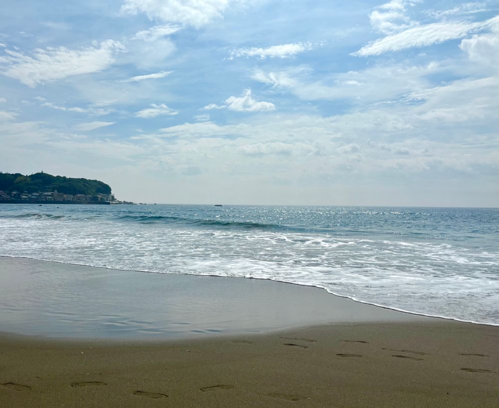 伊豆 今井浜海岸朝の海辺の写真