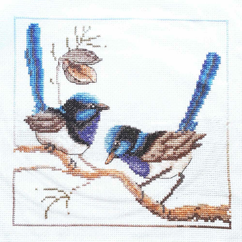 A cross-stitch tapestry of two fairy wrens on a branch, an open seed pod sits above the left bird.