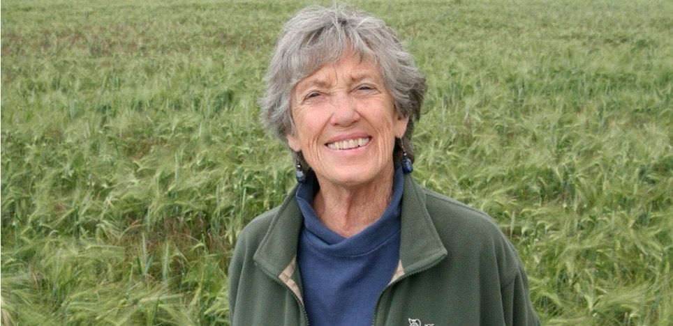 Photo of Joanna Macy, an older woman with gray hair and a gentle smile. She is wearing a blue shirt and a dark green jacket and standing in a field of green.