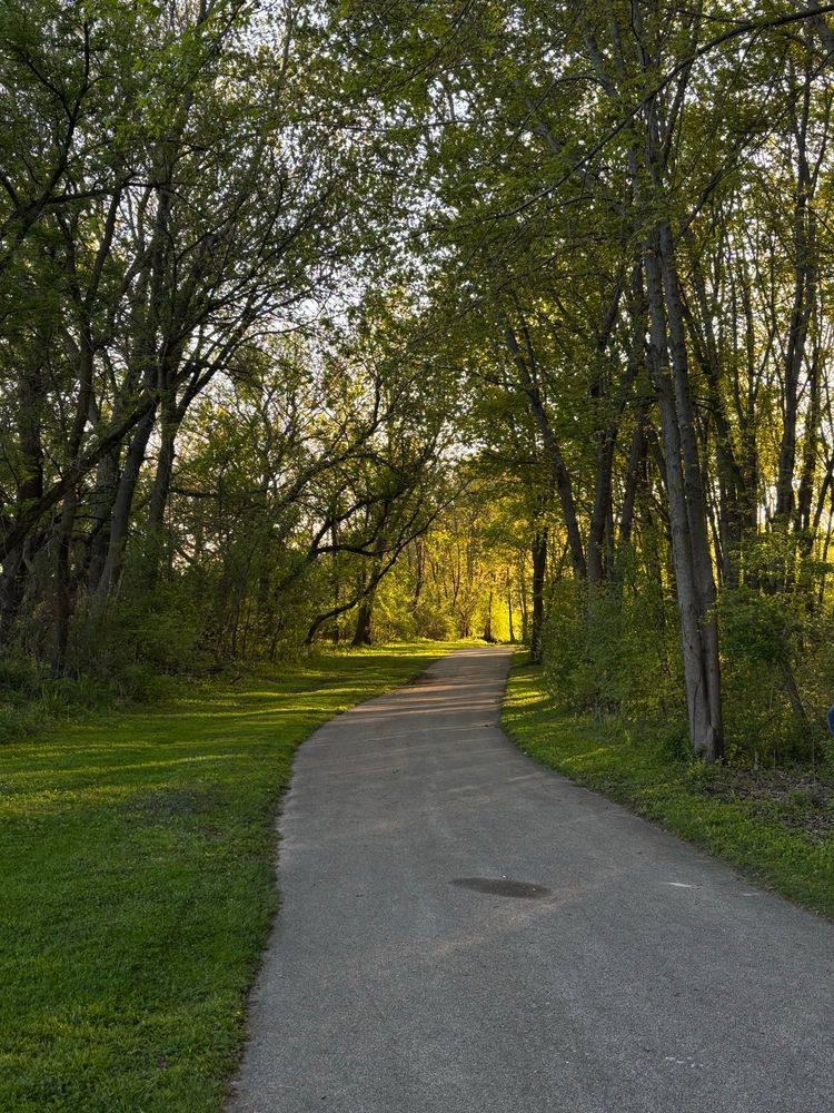 Walking path in the woods with a warm glow from the sun in the distance 