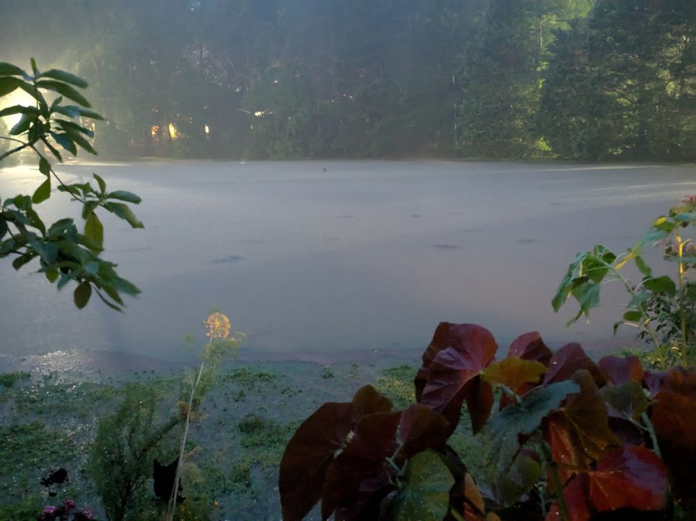 A lake that has breached its banks at night, with rain still falling.