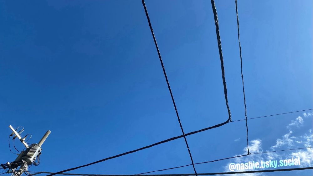 IDの表記を入れ直した同じ写真です…