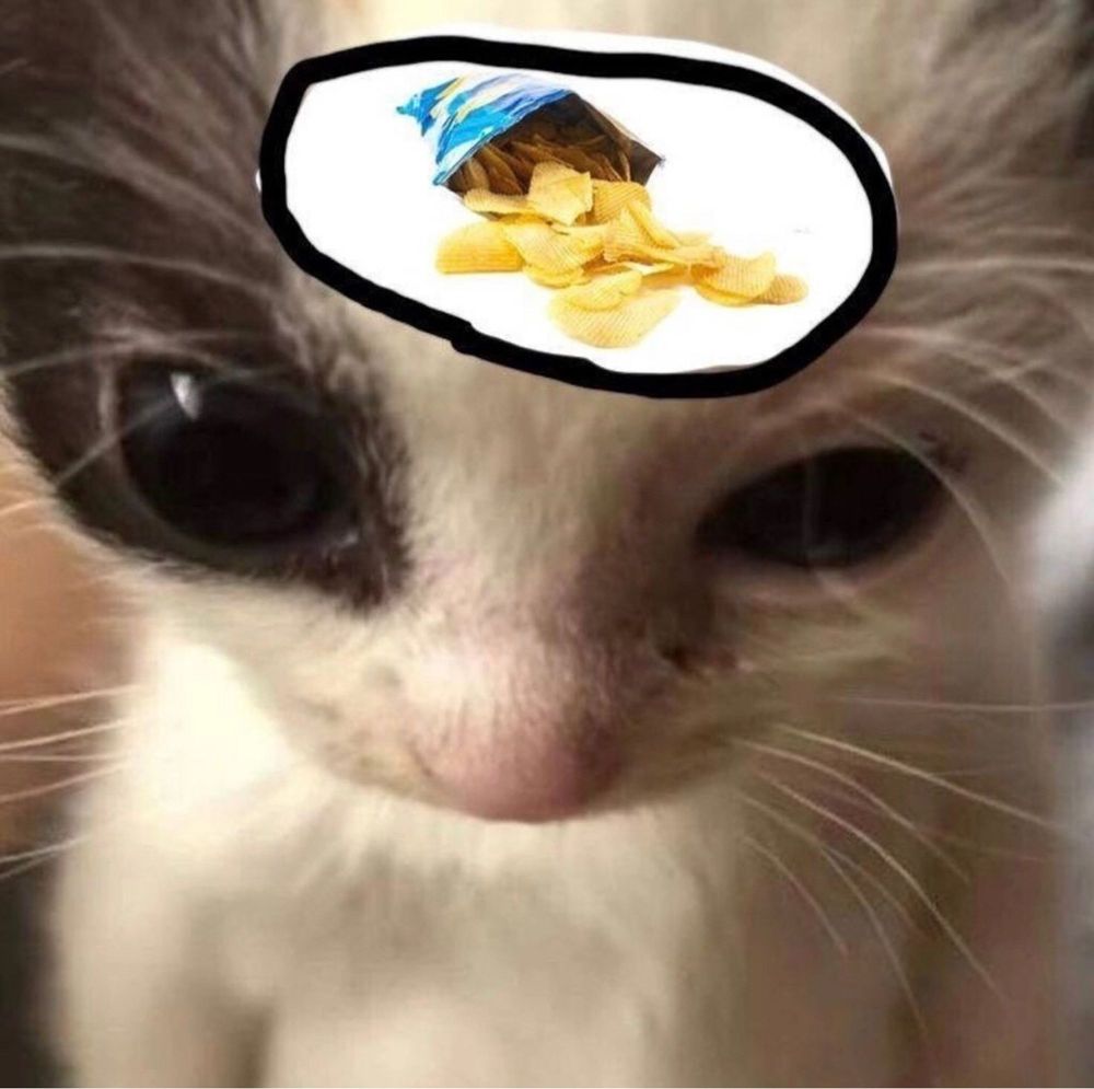 Comment image