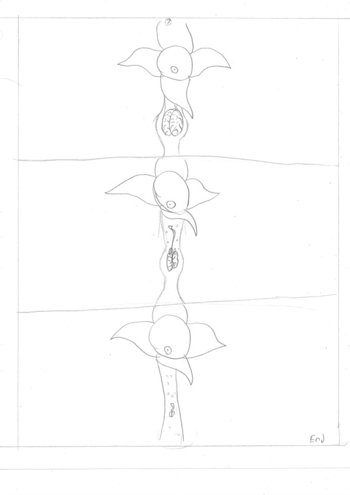Various panels showing a different state of digestion of the brain