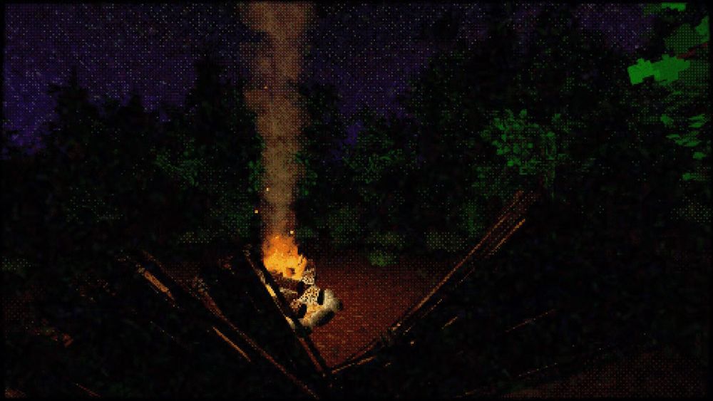 Camp fire in the woods at night.