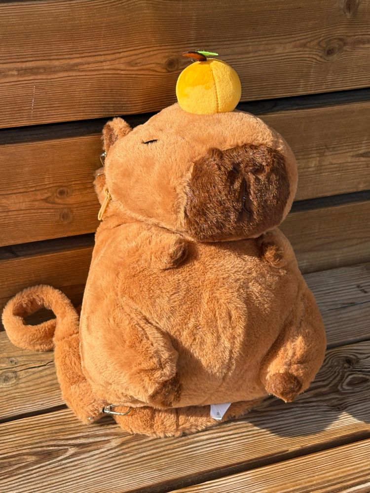 A stuffed capybara with a yuzu balancing on his head. He is squinting. He appears to have straps so he can be worn as a backpack. Not pictured: he has very little room inside to be used as a backpack, so he is only for decoration and clout.
