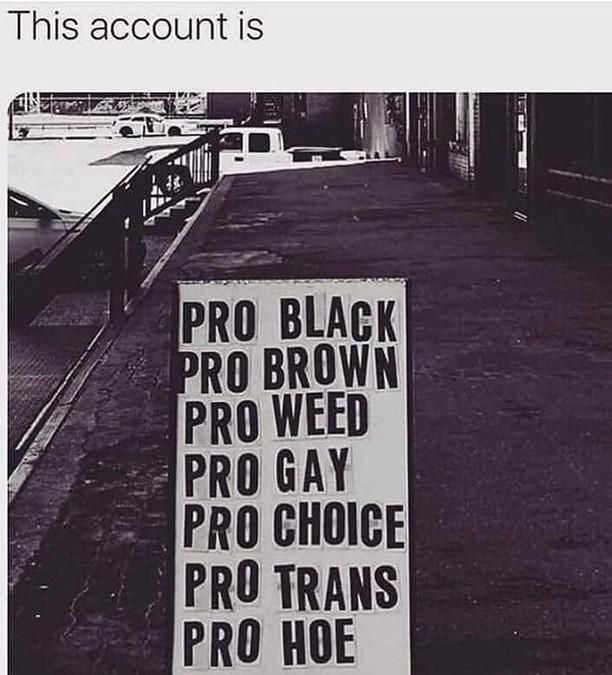 PRO BLACK 
PRO BROWN
PRO WEED
PRO GAY
PRO CHOICE
PRO TRANS
PRO HO