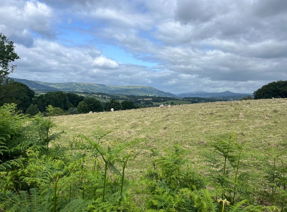 Bright blue sky is covered with a blanket of cloud in parts. In the foreground, lush green ferns sit in front of a grassy hillside field. There are sheep dotted around. Behind this, a line of broadleaf trees, then sun-dappled hillsides and mountains in the distance. The unmistaken pert silhouette of Abergavenny's Sugar Loaf Mountain can be made out.