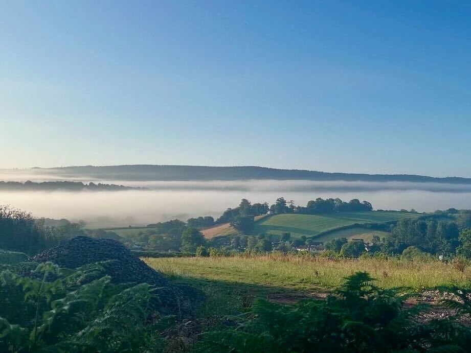A clear, sunny day – under the bright blue sky, a distant black hill is visible as a strip across the horizon. Beneath the hilltop is “dragon’s breath” – a thick mist, following the course of the river below. In the mid-and foreground, rolling green hills are dotted with trees, with lush ferns cascading in from the lefthand side of the frame.
